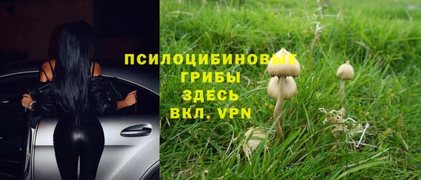 круглые Богданович