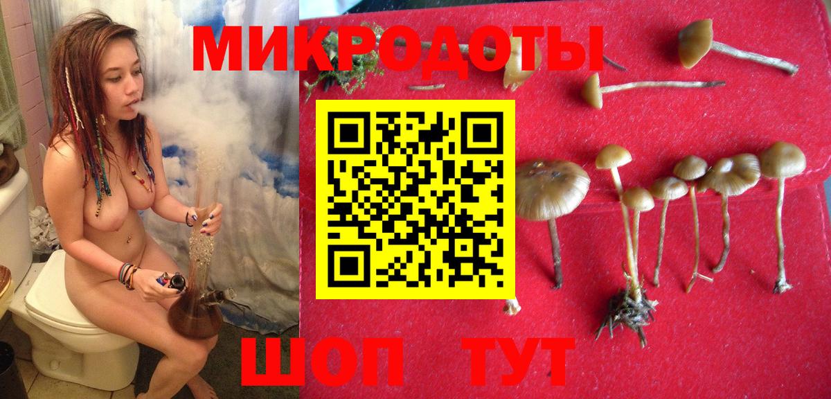 Галлюциногенные грибы MAGIC MUSHROOMS  Вход с VPN  Бугульма 